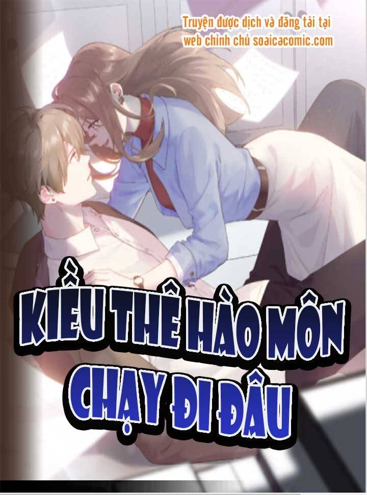 Kiều Thê Hào Môn Chạy Đi Đâu