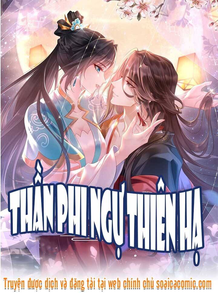 Thần Phi Ngự Thiên Hạ